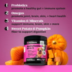 10-In-1 Dog Multivitamin Supplement with Glucosamine & Probiotics - Hip & Joint Support, Digestive Health, Immune Support, Heart & Skin - All-In-One Daily Vitamins & Omega-3S for Dogs (Chicken, 90 Ct)