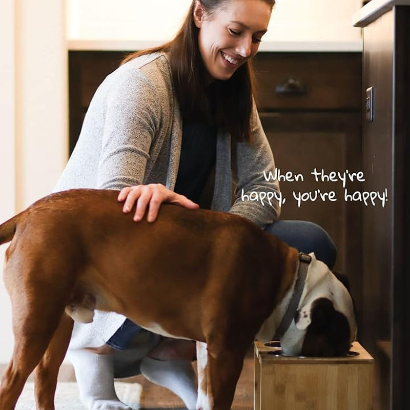 Elevated Dog Bowl Stand- 7" Raised Pet Feeder for Medium Dogs with Four Stainless Steel Bowls.
