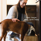 Elevated Dog Bowl Stand- 7" Raised Pet Feeder for Medium Dogs with Four Stainless Steel Bowls.