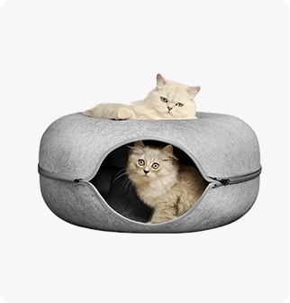 Cat Tunnel