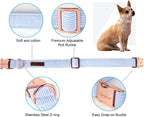 Dog Collar Metal Buckle Blue Stripe Collar Gift Durable Cute Collar for Small Medium Large Boys Girls Dogs